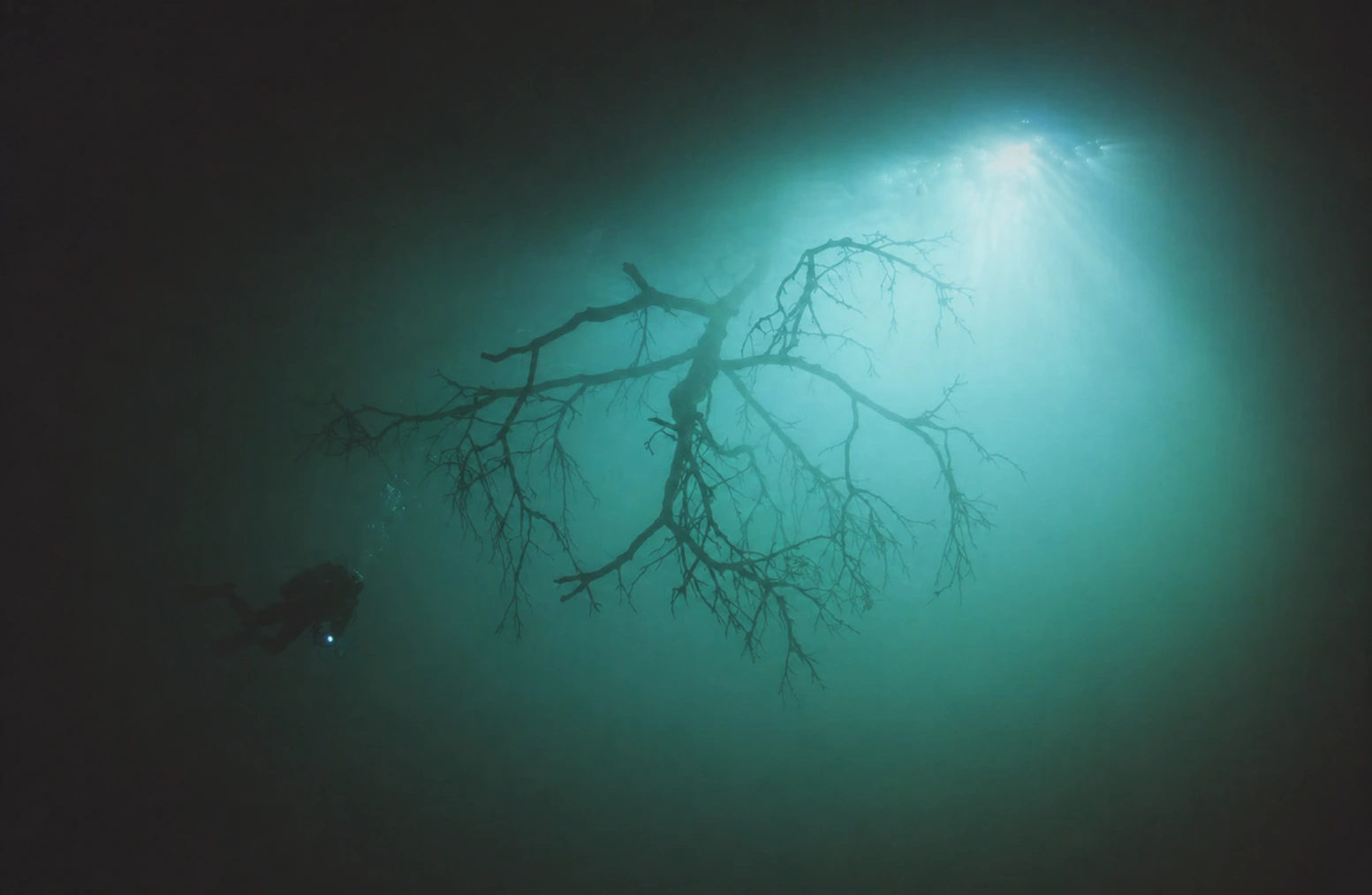 Light entering the water during a Cenote Angelita dive