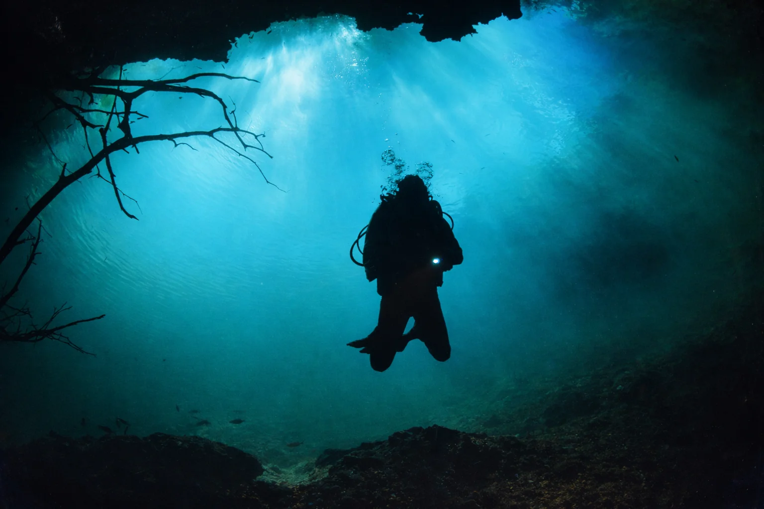 Calm cenote cavern conditions with clear water and natural light