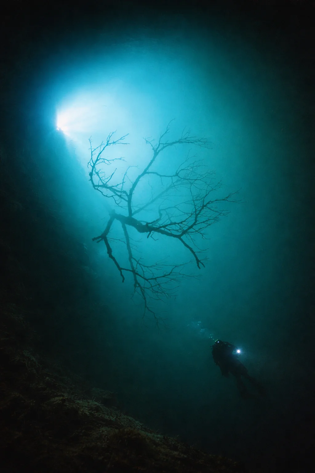 Well-planned cenote diving day in the Riviera Maya