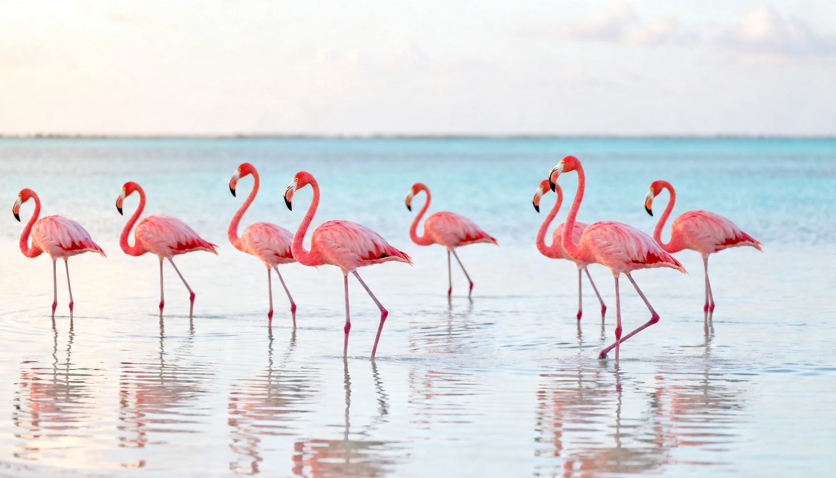 Quiet beach and coastal atmosphere in El Cuyo, Yucatan